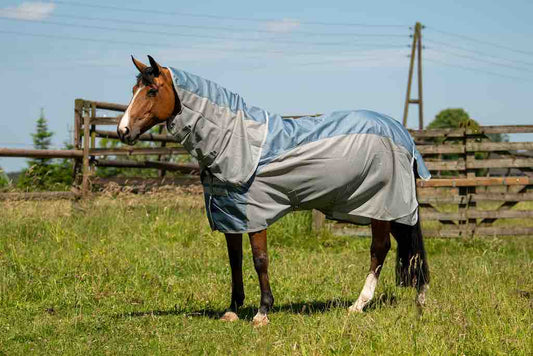Six Steps to Ensure Your Horse Blanket Fits
