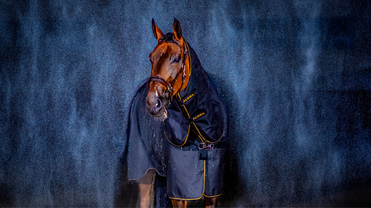Choosing the right waterproof turnout for your horse