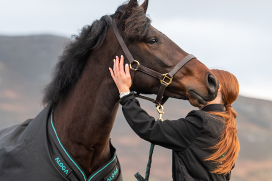 Horses and Happiness: The Science Behind Their Well-Being Benefits