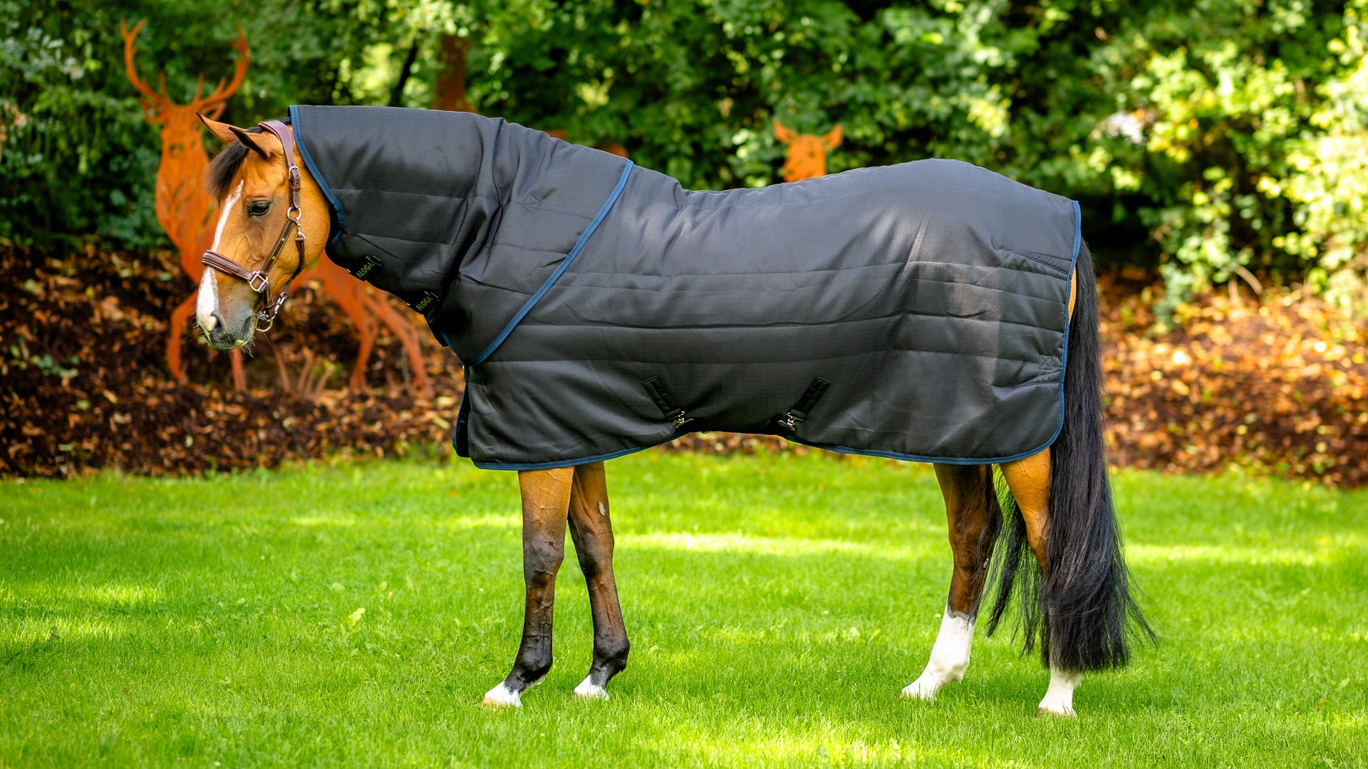 http://aloga-equestrian.com/cdn/shop/collections/aloga-pro-stable-blanket-400g-navy-silver-web..jpg?v=1700850899