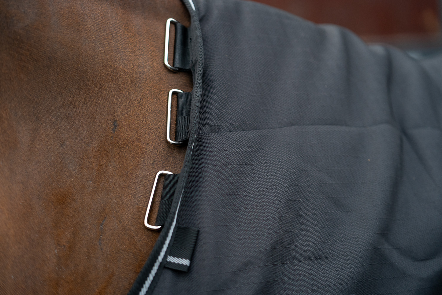 PONY PRO STABLE 0G
