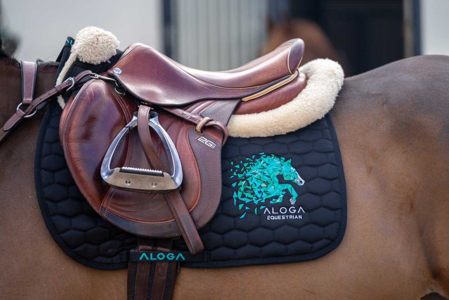 JUMPING SADDLE PAD
