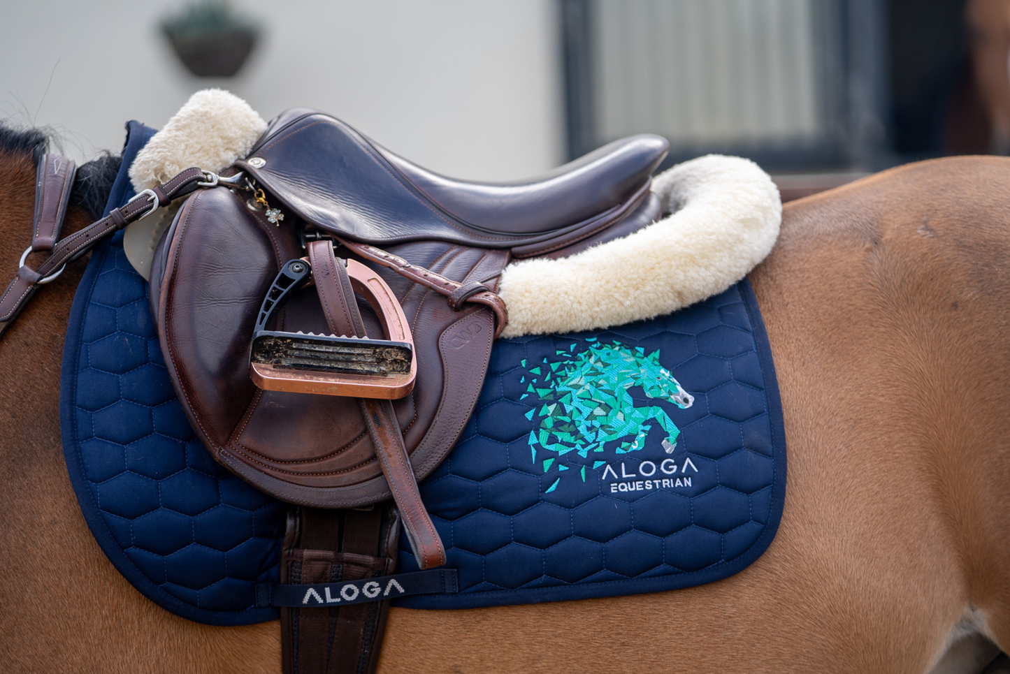 Navy & Silver Pony
