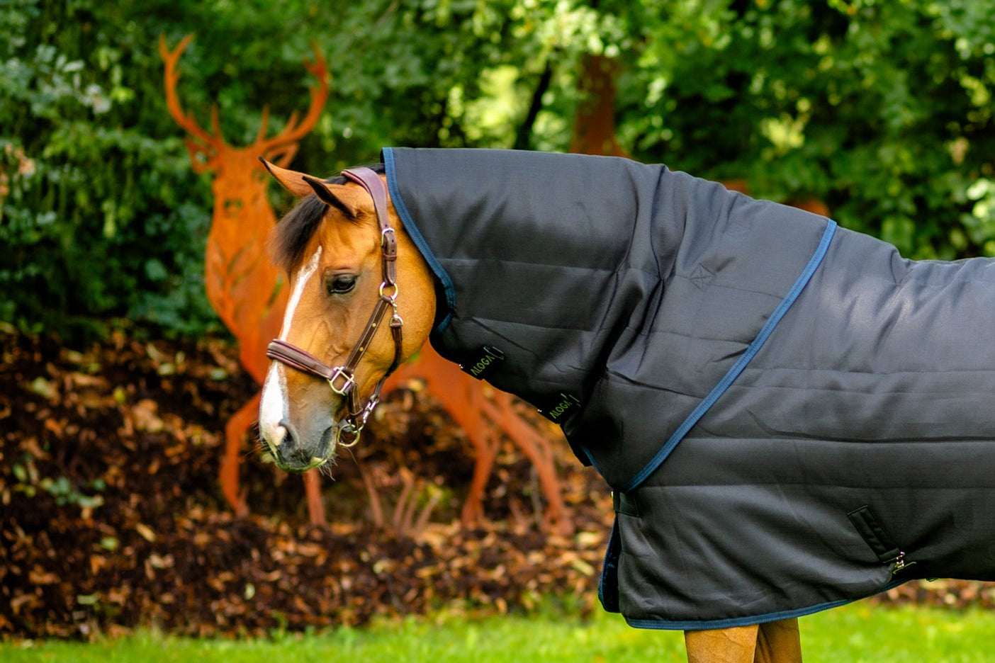 PRO STABLE HOOD 150G