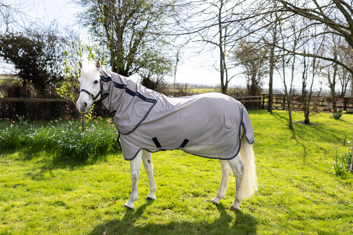 Pony in a filed with a grey Aloga Fly Sheet