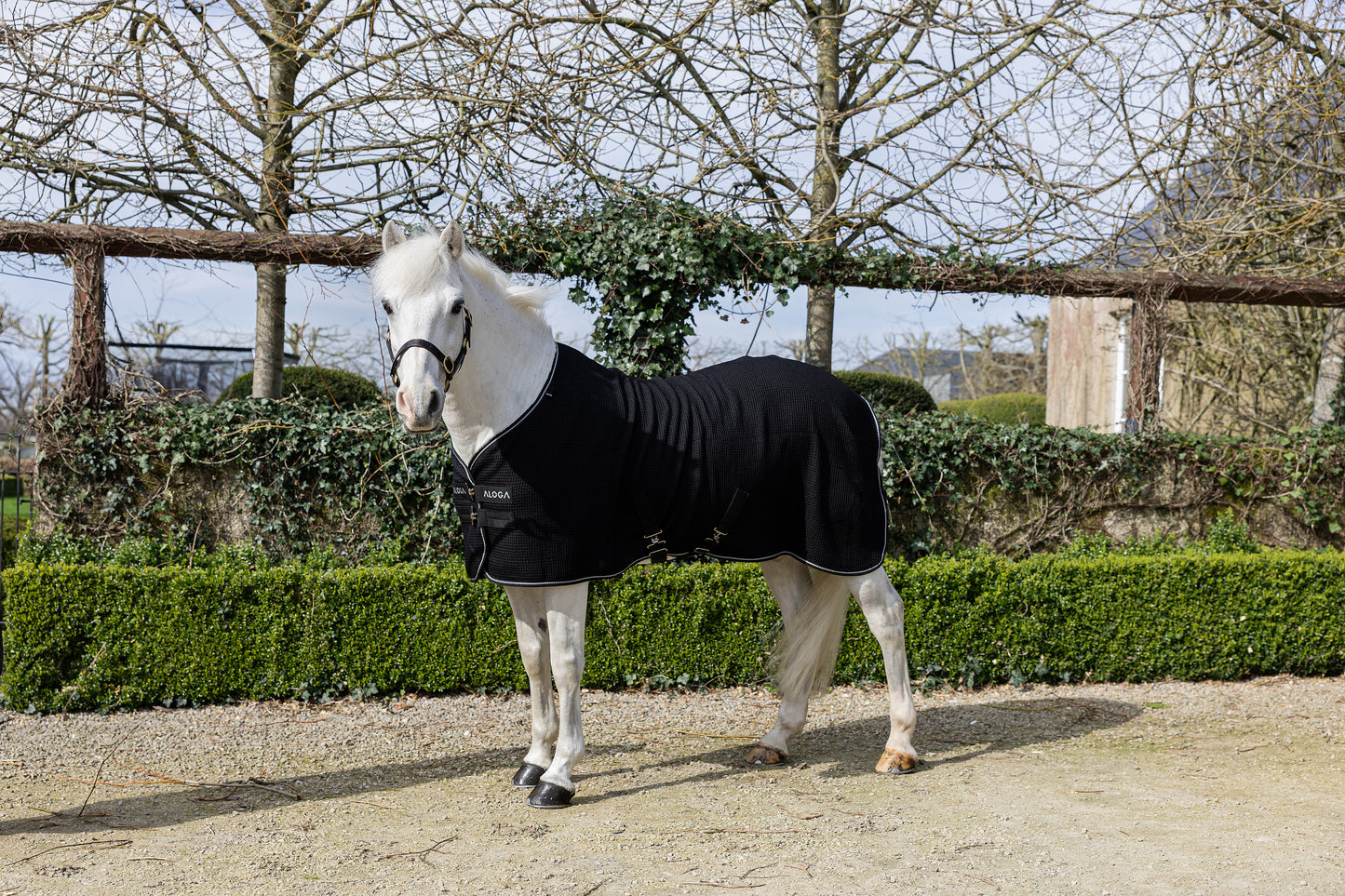 Pony wearing Aloga Pony Waffle Cooler
