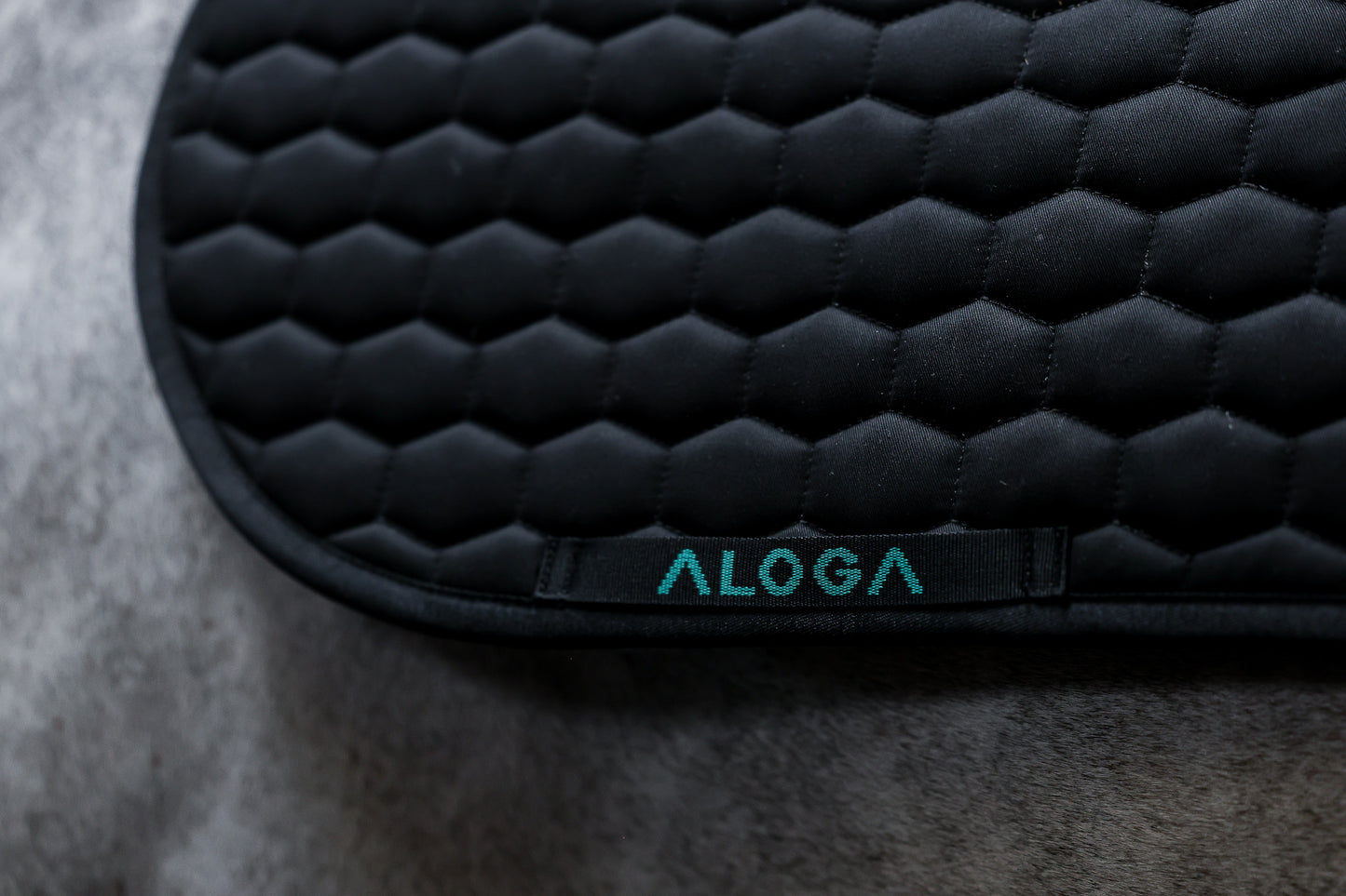 Black & Mint
