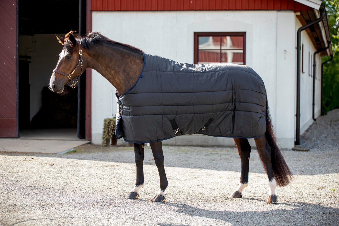 STABLE 2.0 300G