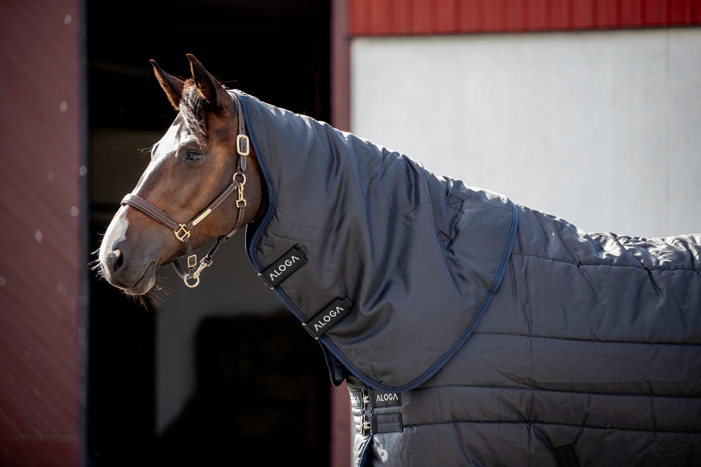 STABLE HOOD 2.0 150G