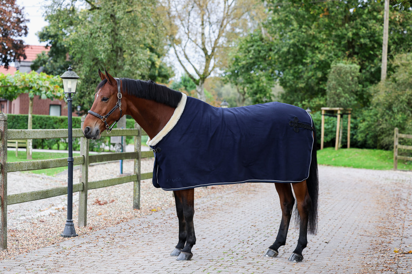 PRO WOOL BLANKET shearling collar