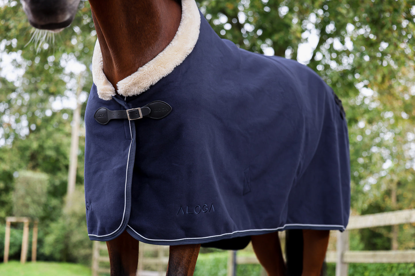 PRO WOOL BLANKET shearling collar