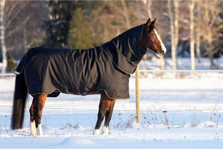 PRO TURNOUT 200G & HOOD