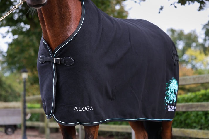 WOLLDECKE PRO WOOL BLANKET limited Edition