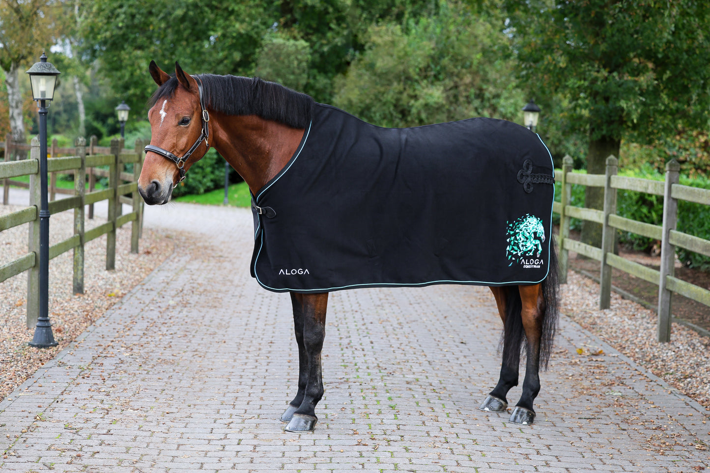 PRO WOOL BLANKET Limited Edition