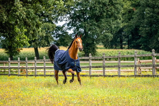 HELP! What horse rug should I use when the weather can't make up its mind?