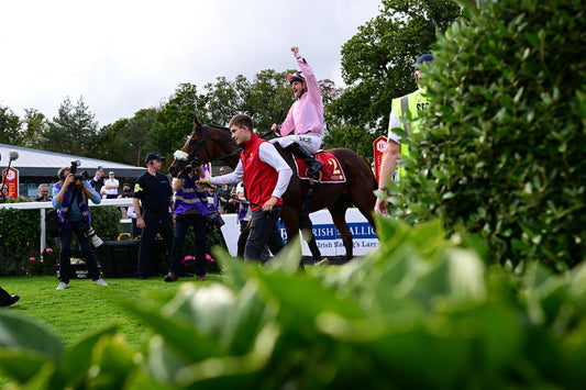 HOTAZHELL DELIVERS IN THE ROYAL BAHRAIN IRISH CHAMPION STAKES FOR JESSICA HARRINGTON RACING