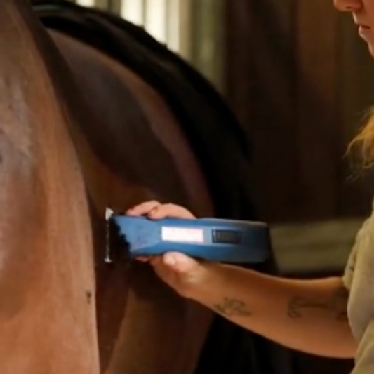 Clipping Season, Sorted: Your Guide to Winter Clipping