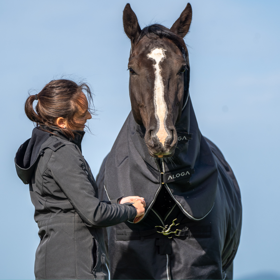 HOW WE TEST HORSE BLANKETS AT ALOGA EQUESTRIAN