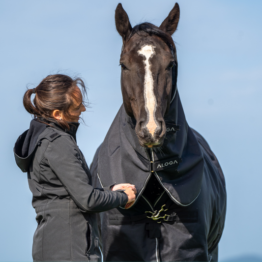 HOW WE TEST HORSE BLANKETS AT ALOGA EQUESTRIAN