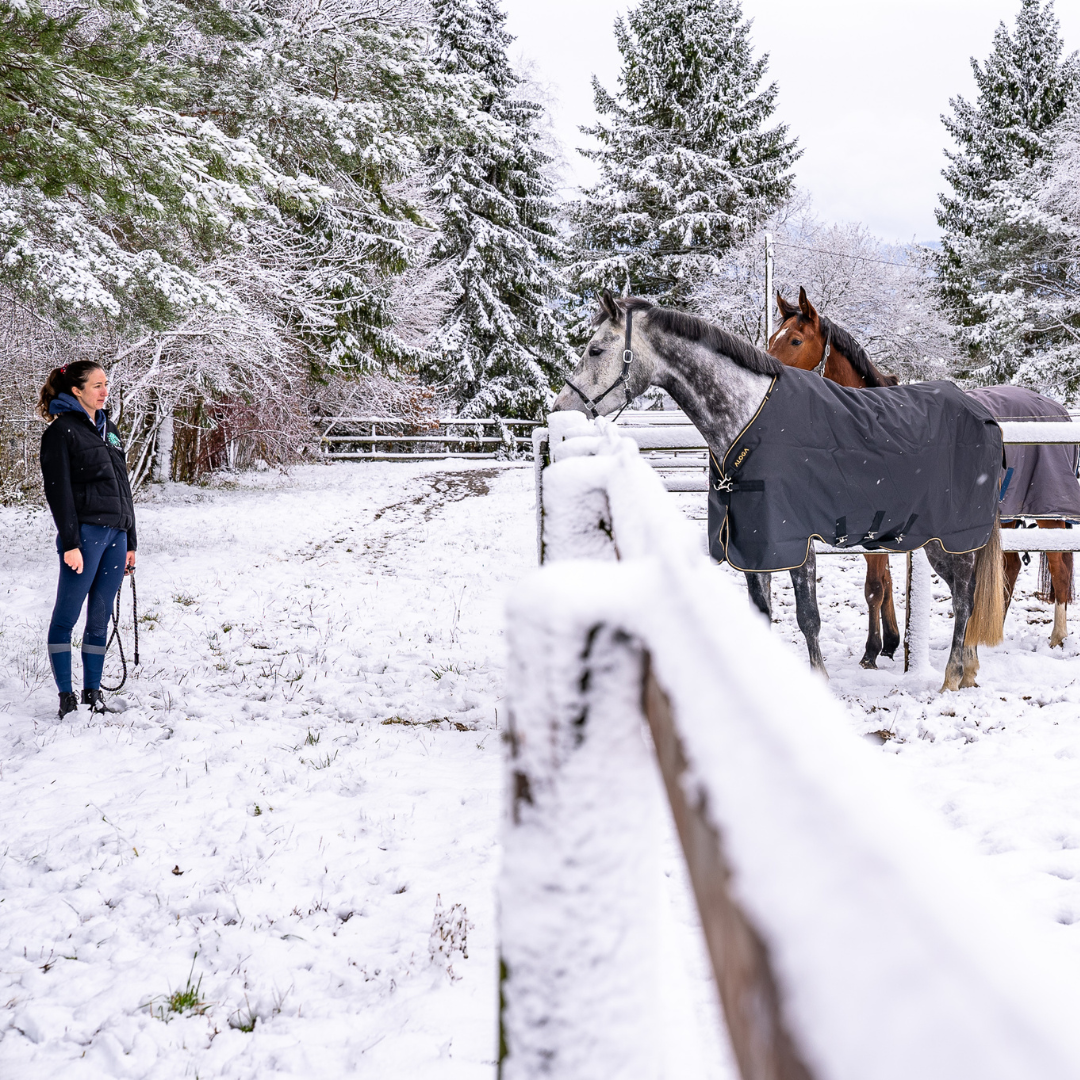 Winter Horse Care Made Simple