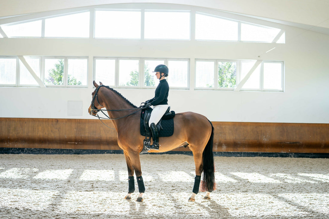 Train better. Ride better. Introducing the Aloga Dressage Pad