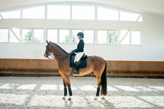 Train better. Ride better. Introducing the Aloga Dressage Pad