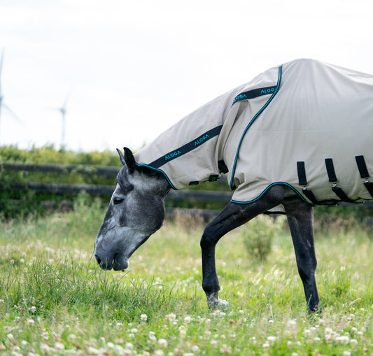 Introducing the Aloga Sweet Itch Sheet