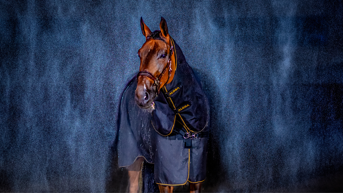 Choosing the right waterproof turnout for your horse 