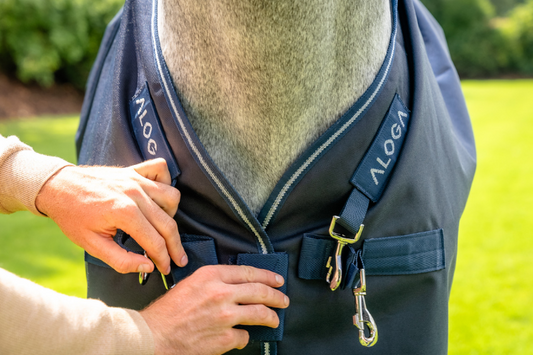 The Right Aloga Front Closure for Your Horse