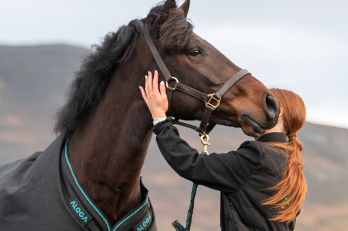 Horses and Happiness: The Science Behind Their Well-Being Benefits