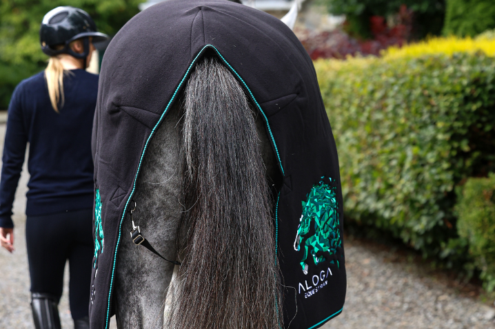 Spring Cleaning: Time to refresh your Tack room