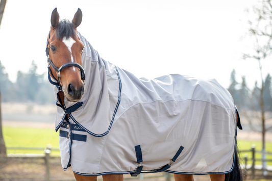 The Right Blanket for Transeasonal Weather: Meet the New Aloga Fly Dry Sheet