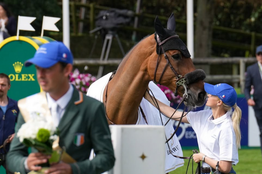 Pack for the European Showjumping Championships with Head Groom Lovisa