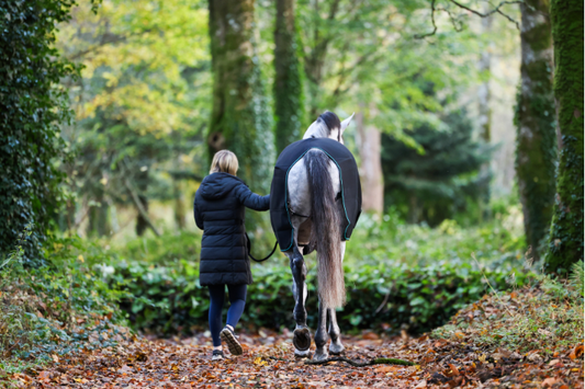 Ready for Change? Preparing Your Horse for Autumn
