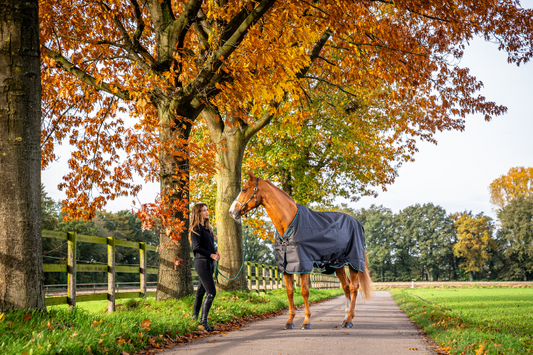 October Horse Care Checklist