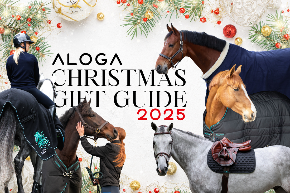 ALOGA CHRISTMAS GIFT GUIDE 2025
