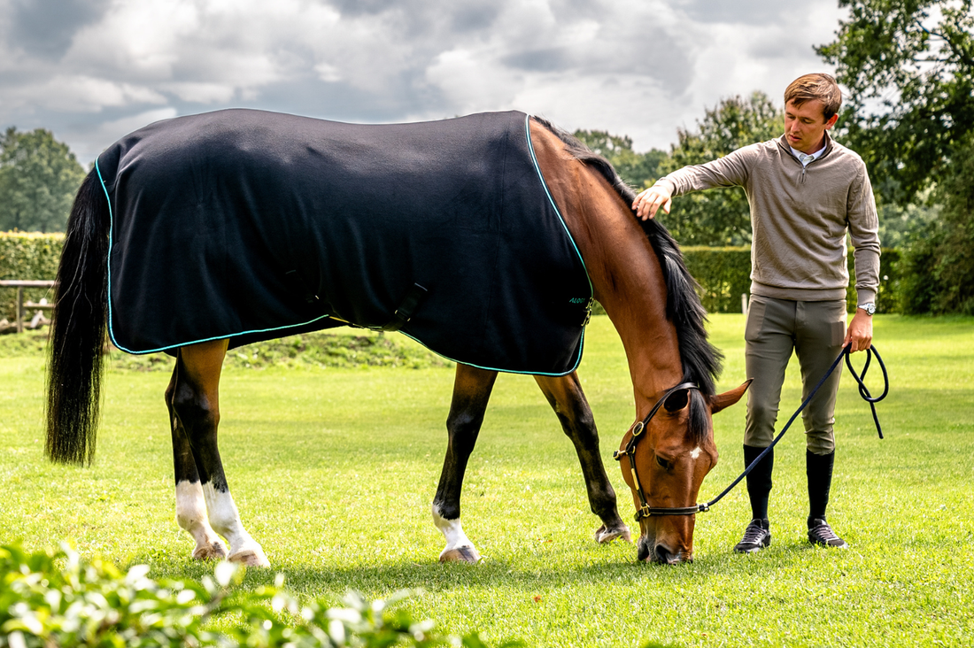 Introducing the Aloga Equestrian Trade Site