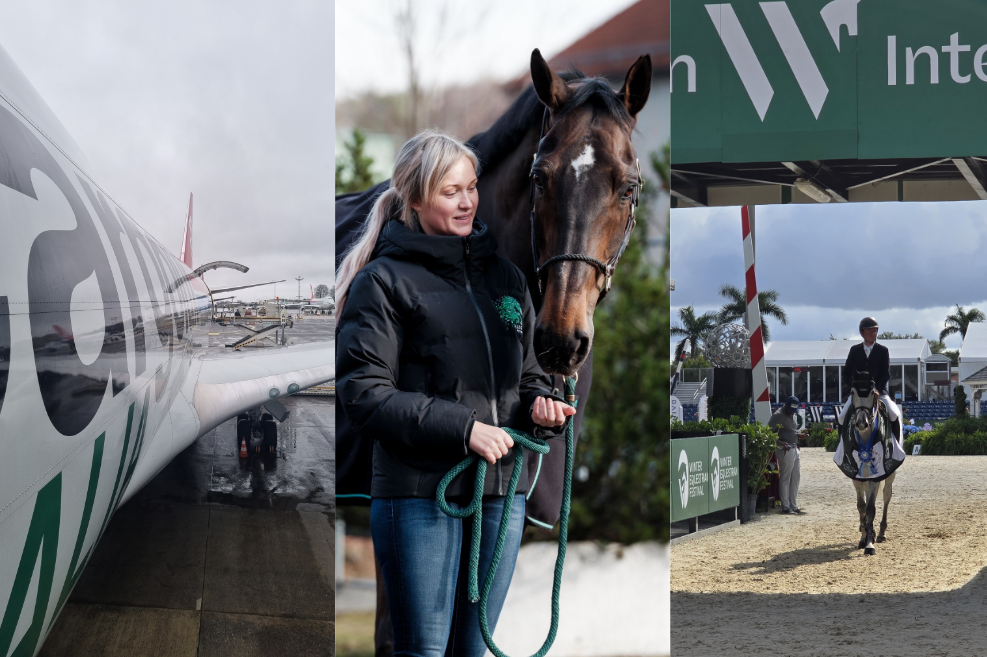 LOVISA'S TRAVEL DIARY: WEF