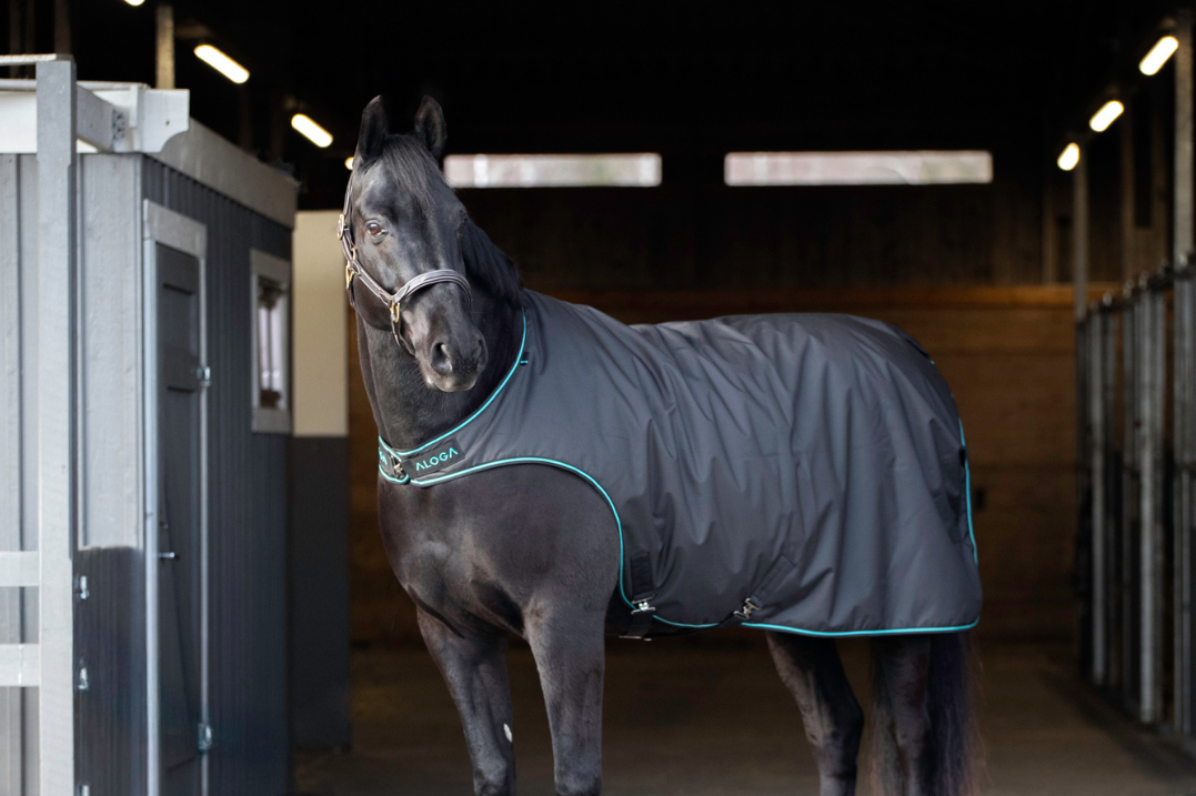 WAYS TO USE THE WALKER BLANKET