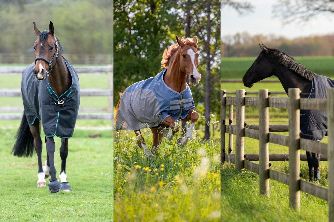 Warm Wet Weather Rugging: Choosing the Right Lightweight Waterproof Turnout for Your Horse
