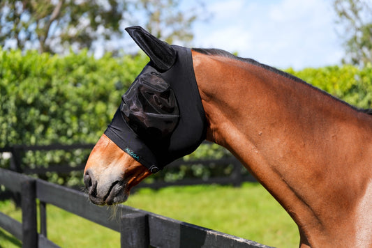 FLY MASK