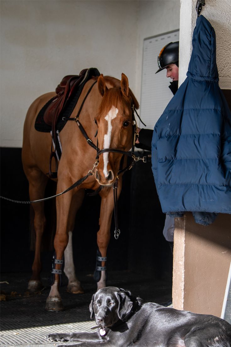 JUMPING SADDLE PAD with Embroidery