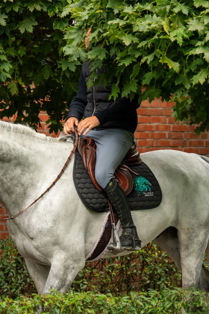 SPRING SCHABRACKE MIT LOGO JUMPING SADDLE PAD WITH LOGO 