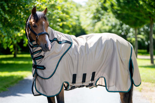 PONY EKZEMERDECKE SWEET ITCH SHEET