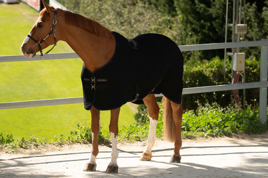 Black & Navy