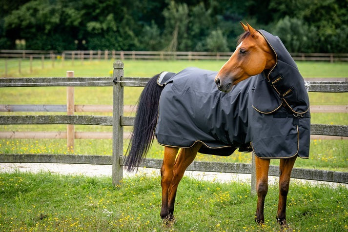 PRO TURNOUT 350G & HOOD