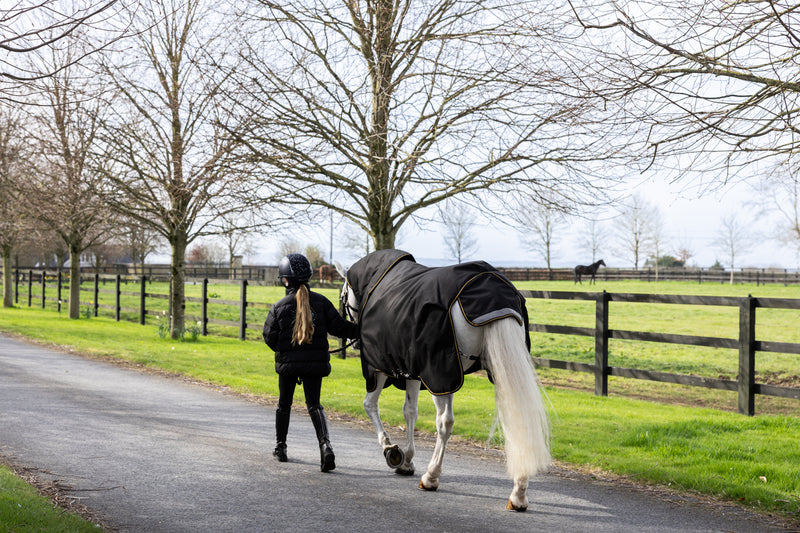 PONY PRO TURNOUT 200G & HOOD