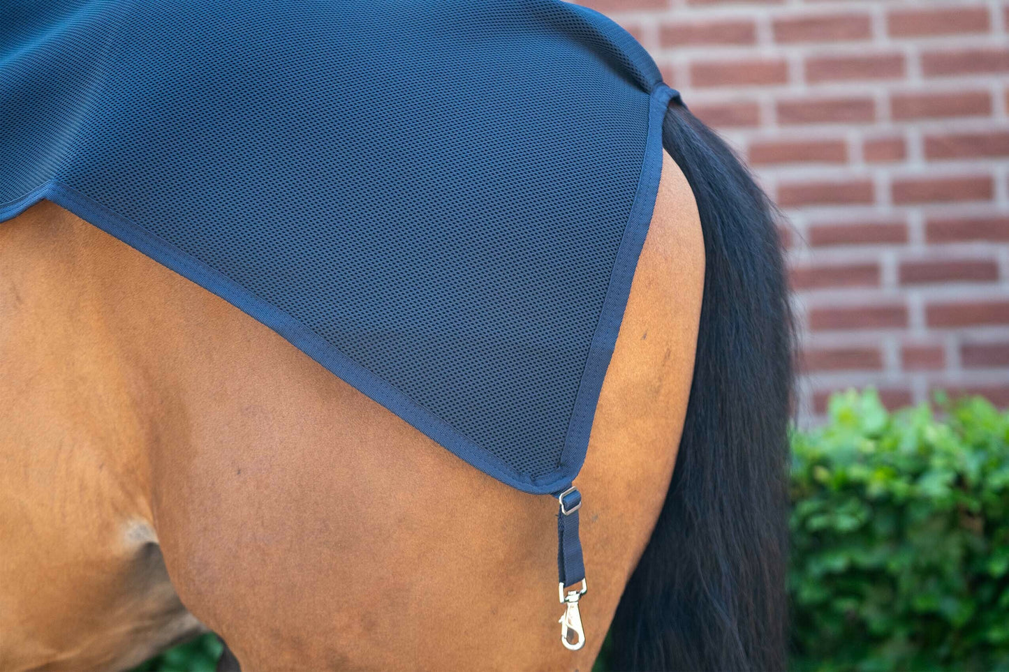 PONY TOP LINER MESH