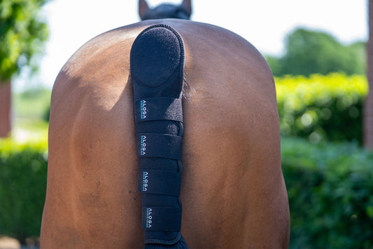 PRO TAIL GUARD