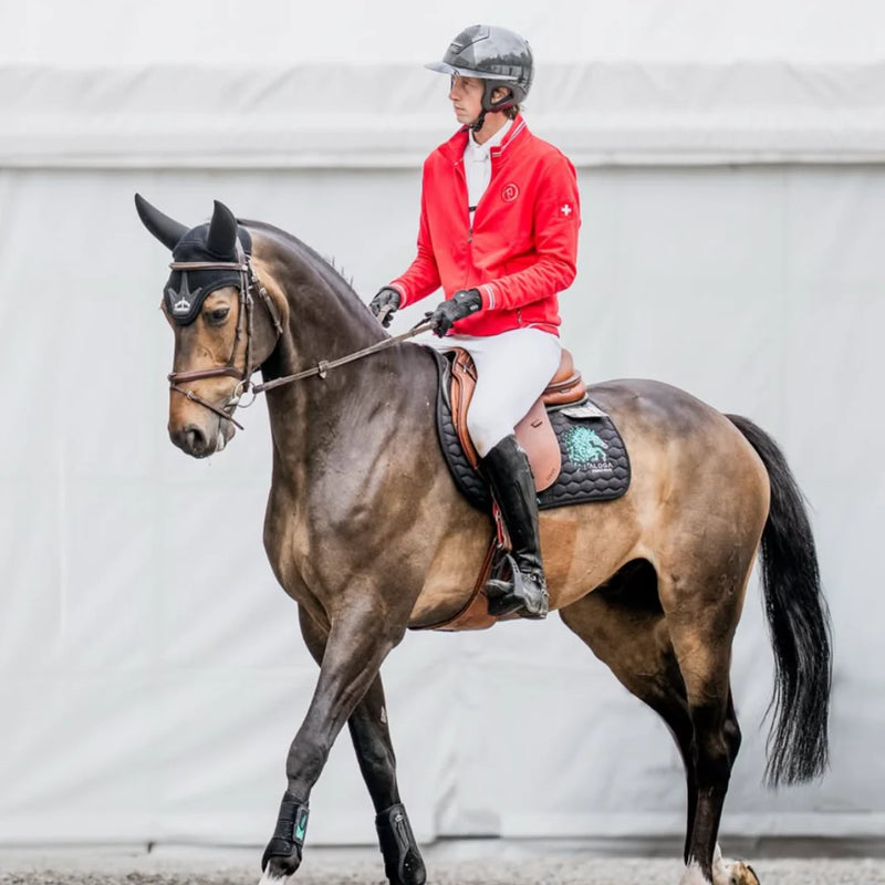 SPRING SCHABRACKE MIT LOGO JUMPING SADDLE PAD WITH LOGO 